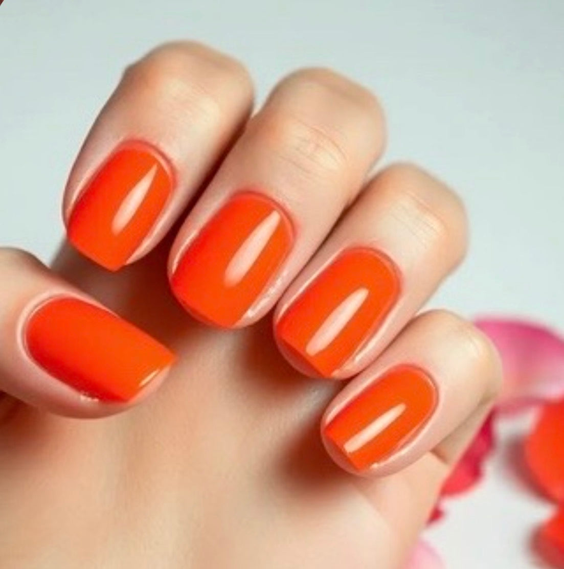 TuffScent™ Scenties Sunrise to Sunset: Pink Watermelon Sugar Scented Nail Polish, Astral Whisper Bright Pink Scented Nail Polish Vanilla Scented, Orion's Belt Orange Scented Nail Polish by Tuff Scentence 2ML
